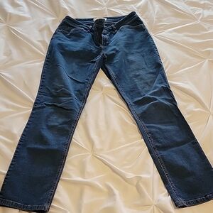 J Jill Blue Denim Jeans